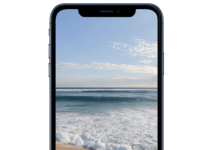 How to Protect Your Phone While Exploring Beaches and Parks